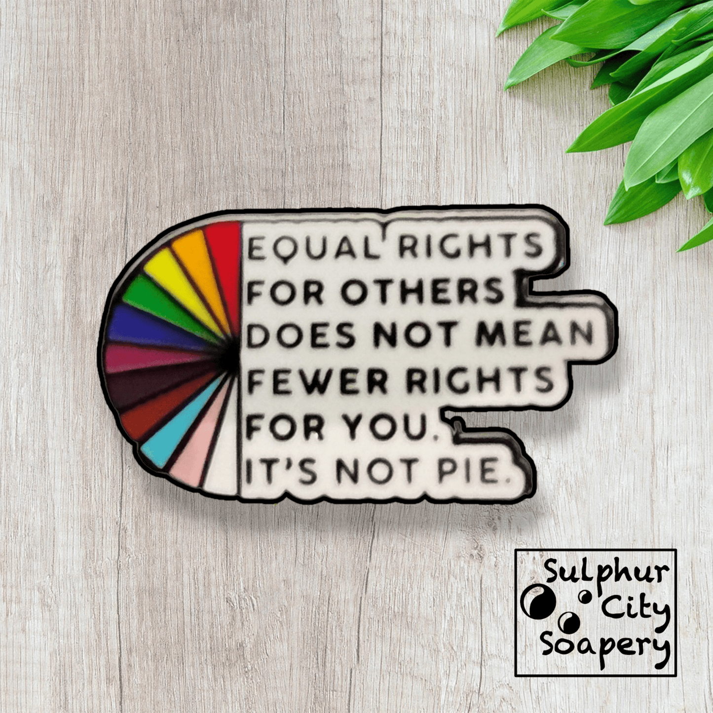Sulphur City Soapery pronoun pin Equal Rights Pride Pin