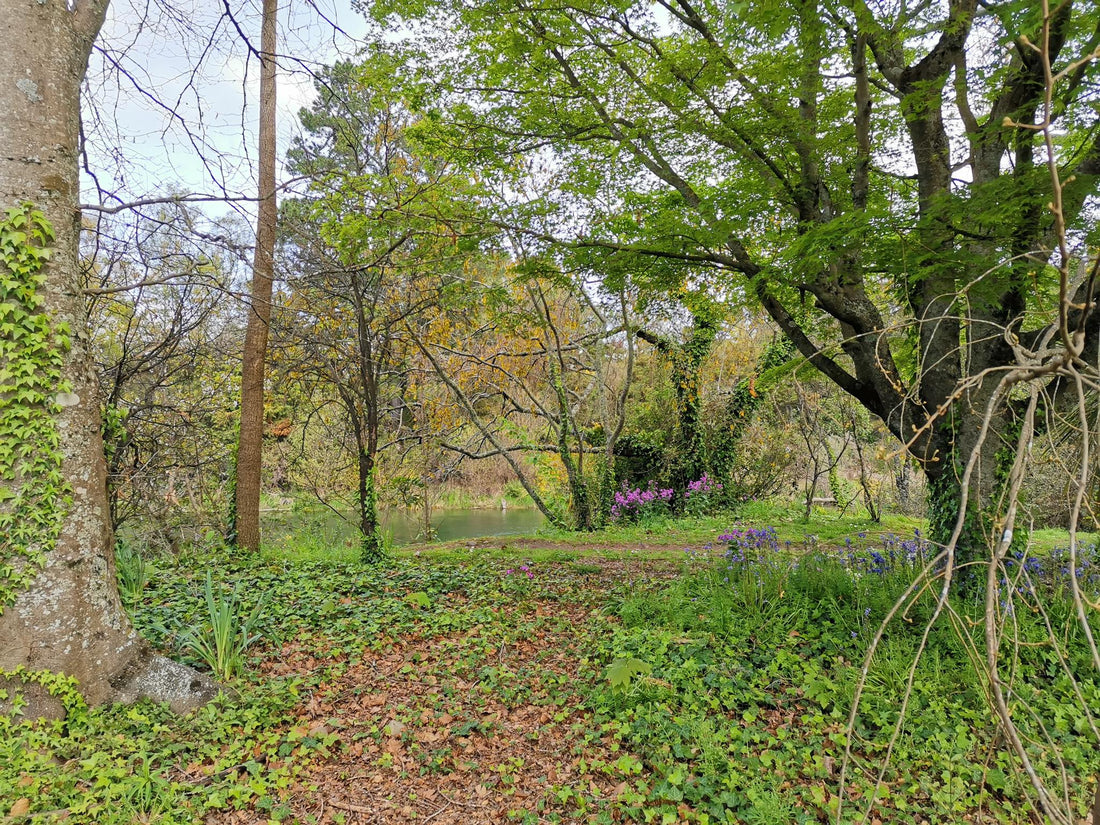 Beautiful Nature, Beautiful You
