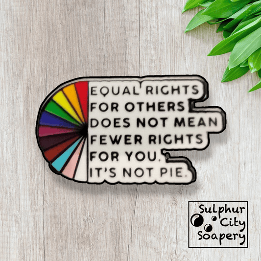 Sulphur City Soapery pronoun pin Equal Rights Pride Pin