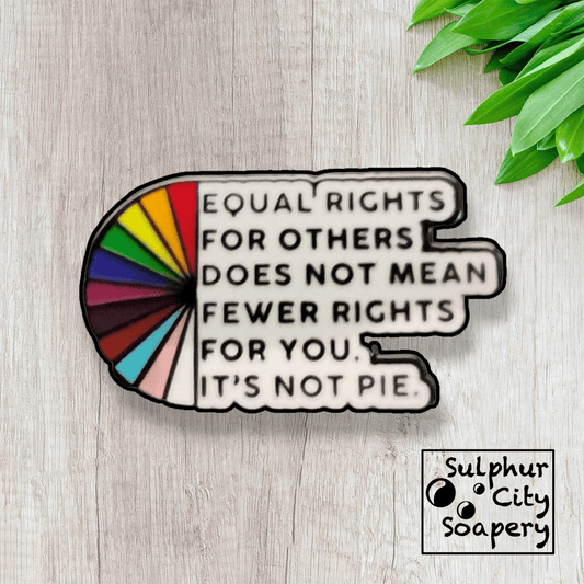 Sulphur City Soapery pronoun pin Equal Rights Pride Pin