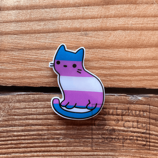 Sulphur City Soapery pronoun pin Trans cat - Pride Pin.