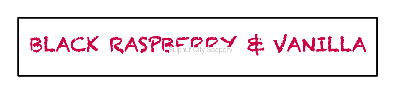 Sulphur City Soapery diffuser Mini hanging car diffuser - Black raspberry & vanilla fragrance.