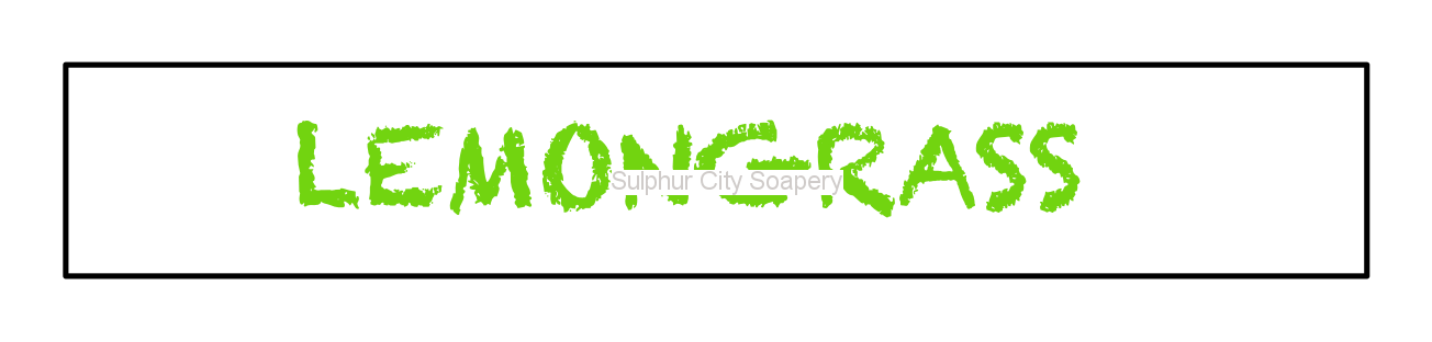 Sulphur City Soapery diffuser Mini hanging car diffuser - Lemongrass essential oil.
